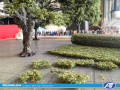 CRG_Trees+People_Banderole_IMG_5218